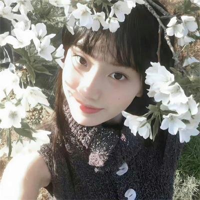 迷途之狼
